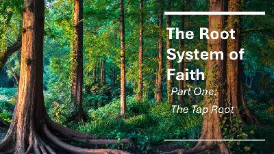 The Root System of Faith, Part 1, The Taproot - Audio
