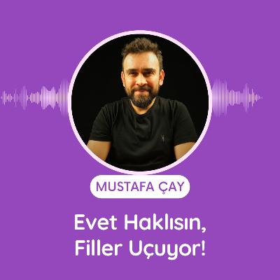 Evet Haklısın, Filler Uçuyor!