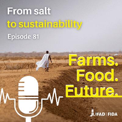 From salt to sustainability