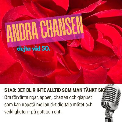 S1A8: DET BLIR INTE ALLTID SOM MAN TÄNKT SIG S1A8: DET BLIR INTE ALLTID SOM MAN TÄNKT SIG