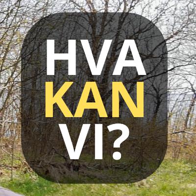Spirituell? Kan INTENSJON påvirke dyreliv? Se selv… // Terje tester manifestering Spirituell? Kan INTENSJON påvirke dyreliv? Se selv… // Terje tester manifestering