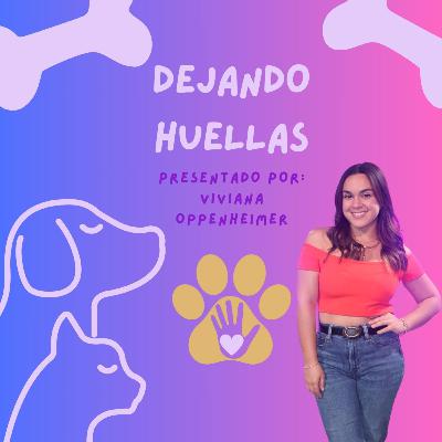 Dejando Huellas 13-noviembre-2025