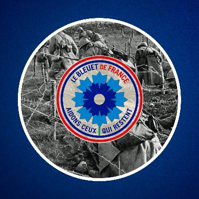 Qu'est-ce que le Bleuet de France ? 🇫🇷 Qu'est-ce que le Bleuet de France ? 🇫🇷