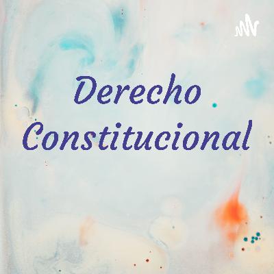 CAPITULO XIII. DERECHOS FUNDAMENTALES