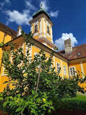 Csorna - Premontrei Apátság Látogatóközpont