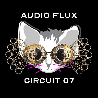 Audio Flux Circuit 07: Trash or Treasure, is ON! Audio Flux Circuit 07: Trash or Treasure, is ON!
