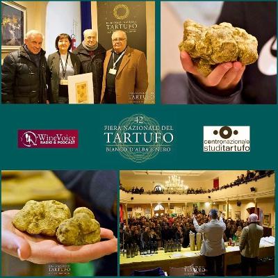 Le Terre del Vino: 42° Fiera Tartufo S.Sebastiano Curone (AL) - Novità sulle politiche territoriali e i consigli dal Centro Nazionale Studi Tartufo