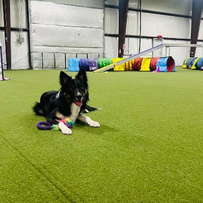 Episode 6 - What Makes a Facility Amazing?