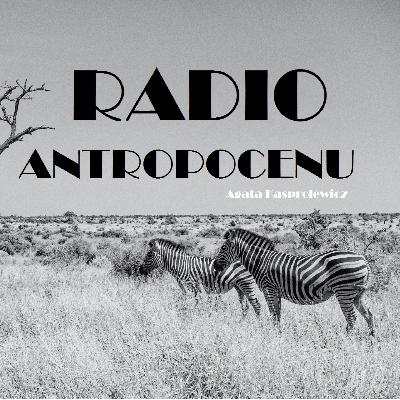 Drzewa i ludzie | Radio Antropocenu #5