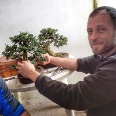 AS HISTÓRIAS DO BONSAI NO BRASIL, JAPÃO E NO MUNDO - LIVE COM FELIPE DALLORTO