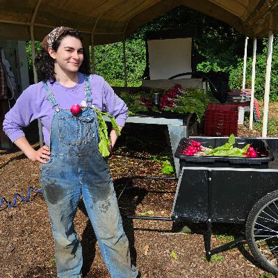 How farmers are changing cropping strategies in response to a changing climate with Masha Vernik