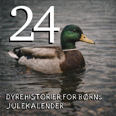 Julekalender - afsnit 24
