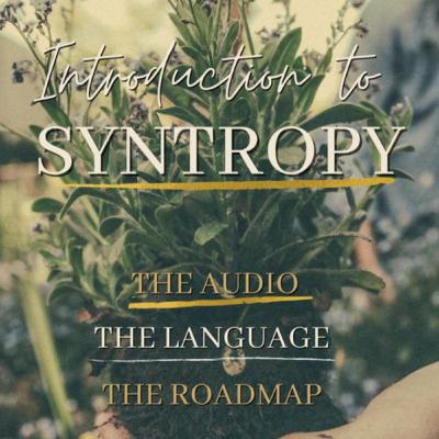 What is a Course in Syntropy? What is a Course in Syntropy?