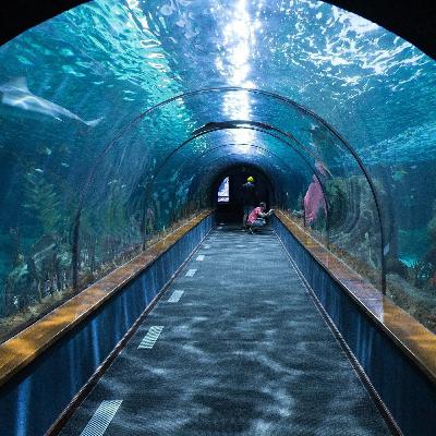 L'Acquario di Genova L'Acquario di Genova