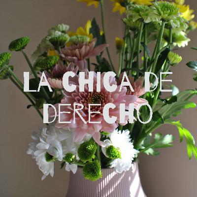 Derecho Procesal: El fundamento de la Jurisdicción.