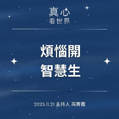 【真心看世界】貼近法華，不怕煩惱，因為煩惱能開智慧 德勘師父1121...