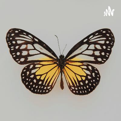 On the verge of crying my eyes out... On the verge of crying my eyes out...