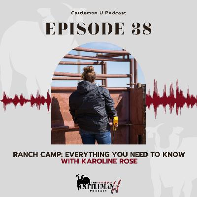 Ranch Camp: Everything You Need to Know
