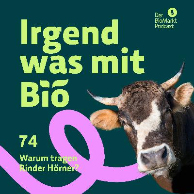 74 - Warum tragen Rinder Hörner?