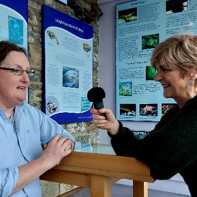 West Cork Genealogy - Miscellaneous Records