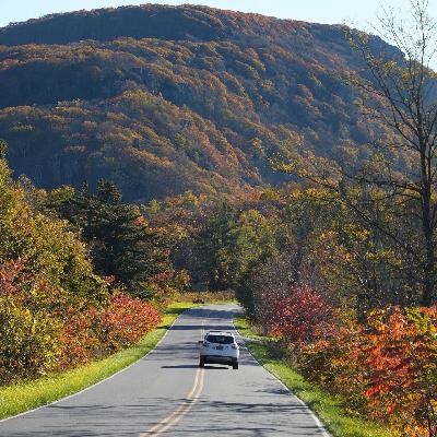 82：课题分离：当我不再试图控制一切，放手反而更有力量