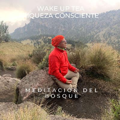 Meditación del Bosque. Creando nuevas Cumbres