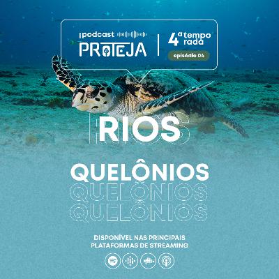 Quelônios da Amazônia