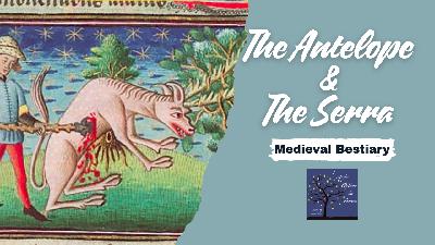 The Antelope & The Serra