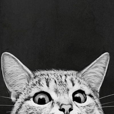 Cerpen ‘Kucing’ Karya Putu Wijaya