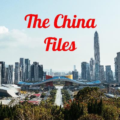What is "The China Files"?