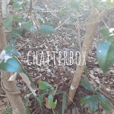 chatterbox vo.6 『旅立つには最高の日』を読んで chatterbox vo.6 『旅立つには最高の日』を読んで