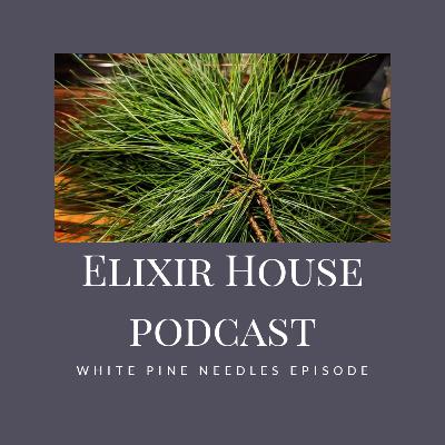 White Pine Needle