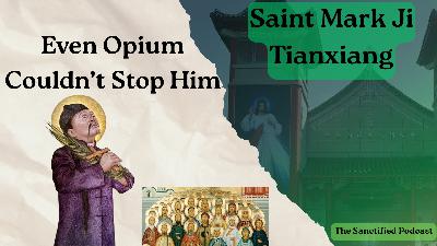 The Addicted Saint - Mark Ji Tiangxiang