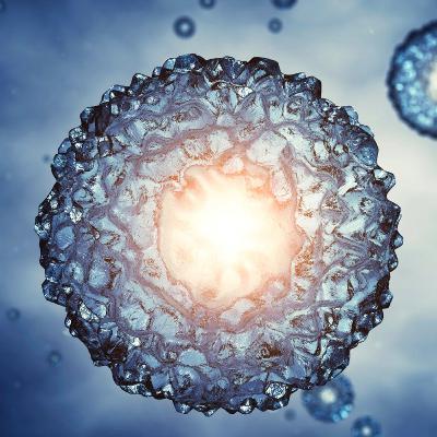 El Contenido Espiritual de la Sangre