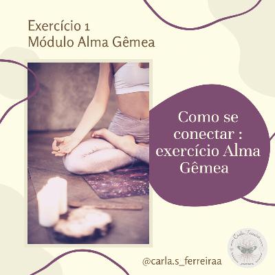 Conexão exercício 1 - Alma Gêmea