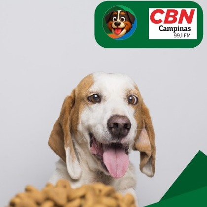 Alimentação adaptada ao calor