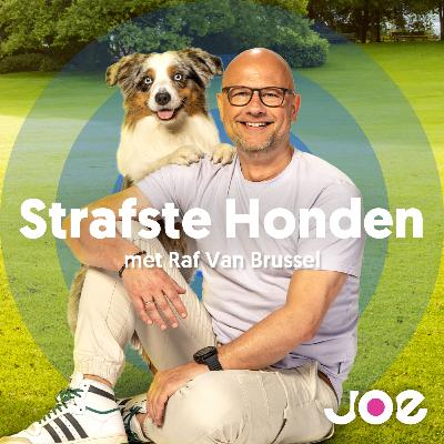 S1E5: Strafste Honden met Asielhond Lizzy en Michel Vandenbosch S1E5: Strafste Honden met Asielhond Lizzy en Michel Vandenbosch