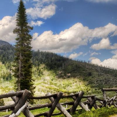 张嘉佳《土豪小李结婚记》 张嘉佳《土豪小李结婚记》