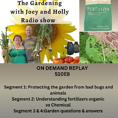 Episode 1542: S10E9 Protecting the garden from bad bugs & animals, understanding fertilizers  Garden Q&A - The Gardening with Joey and Holly Radio Show