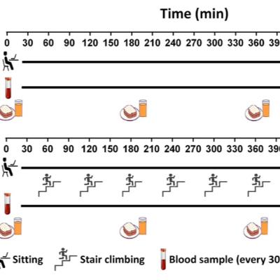RE-EVAL Research Review: Exercise Snacks RE-EVAL Research Review: Exercise Snacks