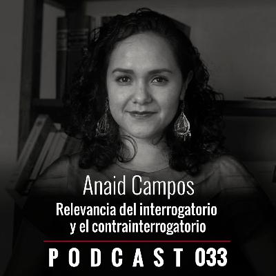 033. Relevancia del interrogatorio y contrainterrogatorio