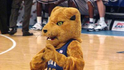 The Pitt Basketball Investment Failure