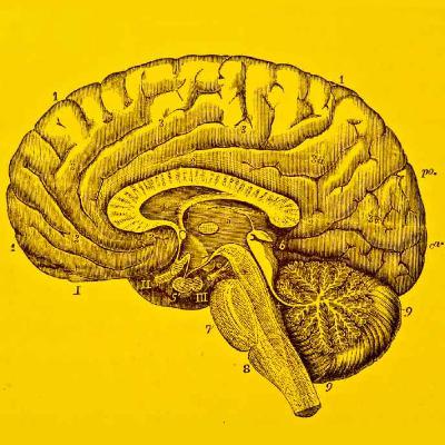 194: Food for Thought pt. 3