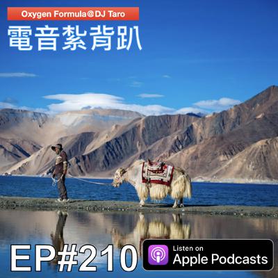 EP210【派對電音】風雪壓我兩三年，加在一起是五年