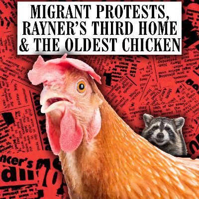 Migrant Protests, Rayner’s Third Home & The Oldest Chicken