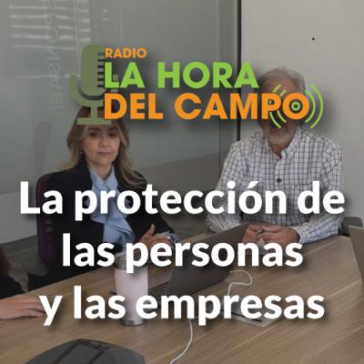 Programa del 040125: la protección de las personas y empresas Programa del 040125: la protección de las personas y empresas