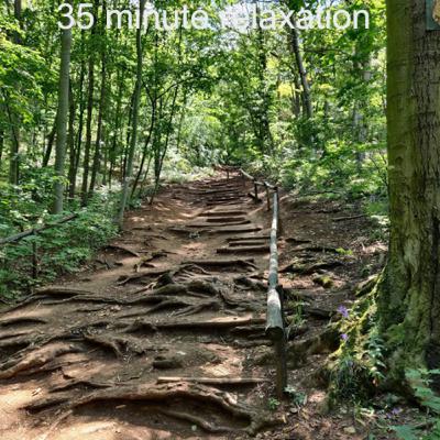 Walking deep in the forest
