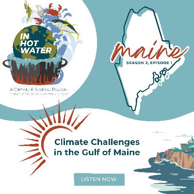 In Hot Water: Climate Challenges in the Gulf of Maine