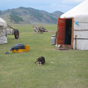 5/21-24, Mongolia Part 1 5/21-24, Mongolia Part 1