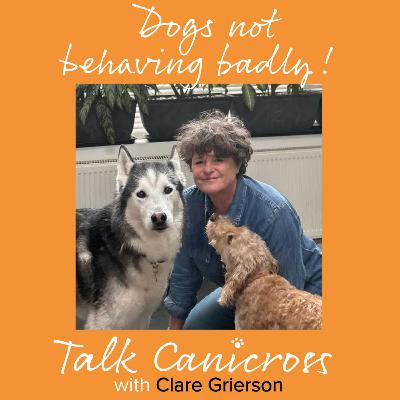 Dogs Not Behaving Badly Dogs Not Behaving Badly